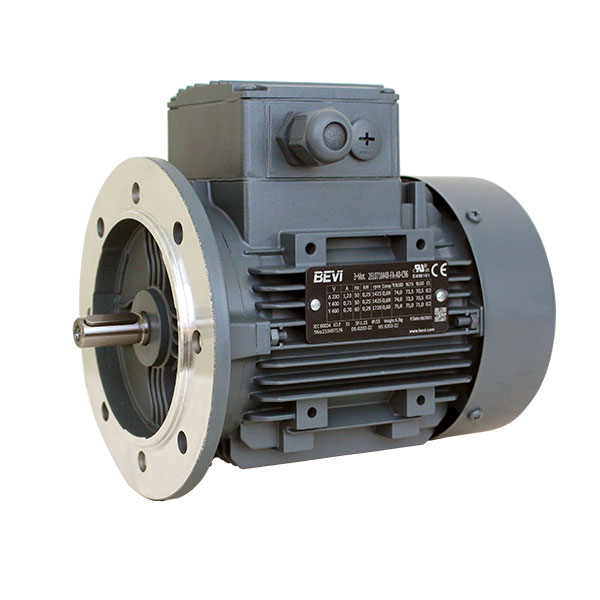 Elmotor 3EL100L6B - BEVI